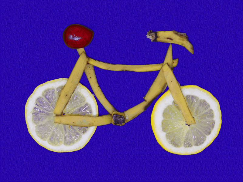 The Foodsharing Bike